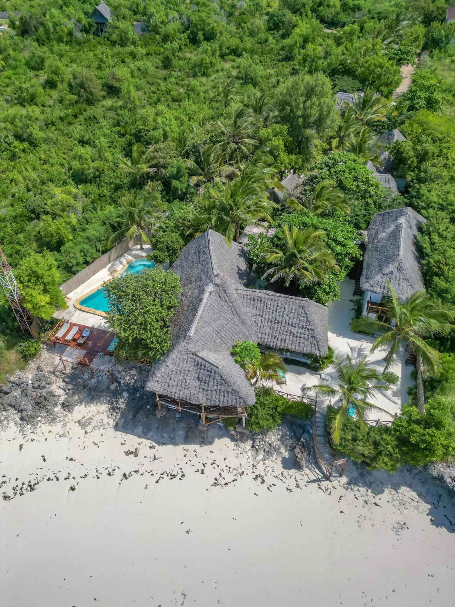 Natural Garden Boutique Hotel Jambiani  Bagian luar foto