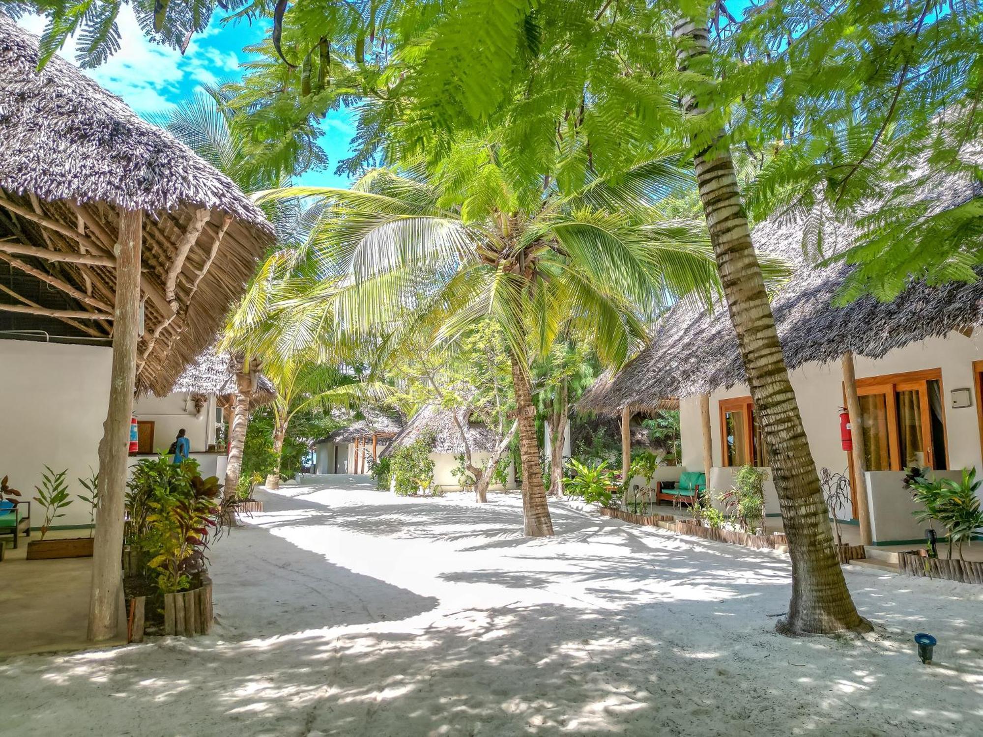 Natural Garden Boutique Hotel Jambiani  Bagian luar foto