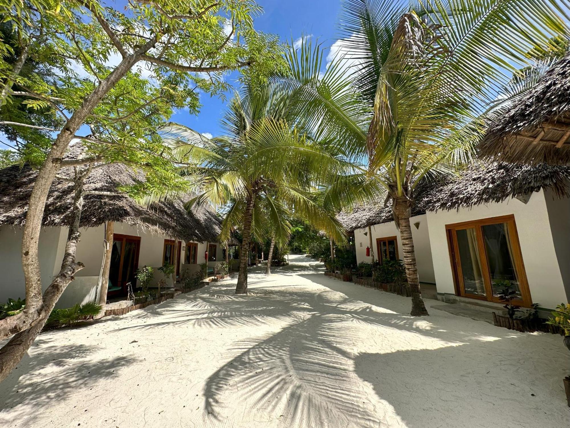 Natural Garden Boutique Hotel Jambiani  Bagian luar foto